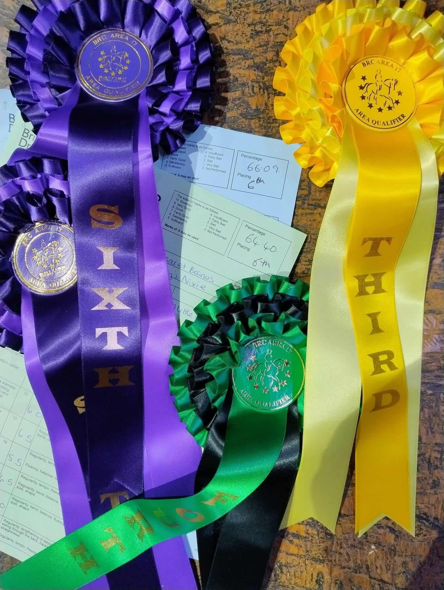Winter Dressage Qualifier Oct 2025 Crofton by Corinne Staples